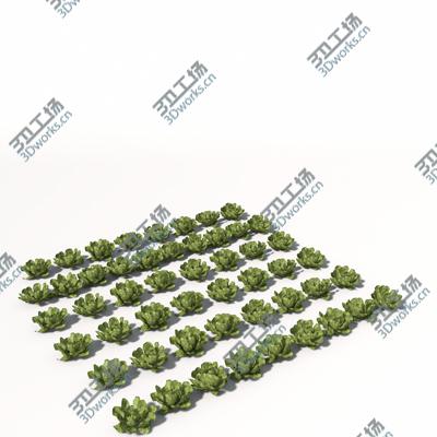 images/goods_img/2021040231/XfrogPlants Agriculture/2.jpg